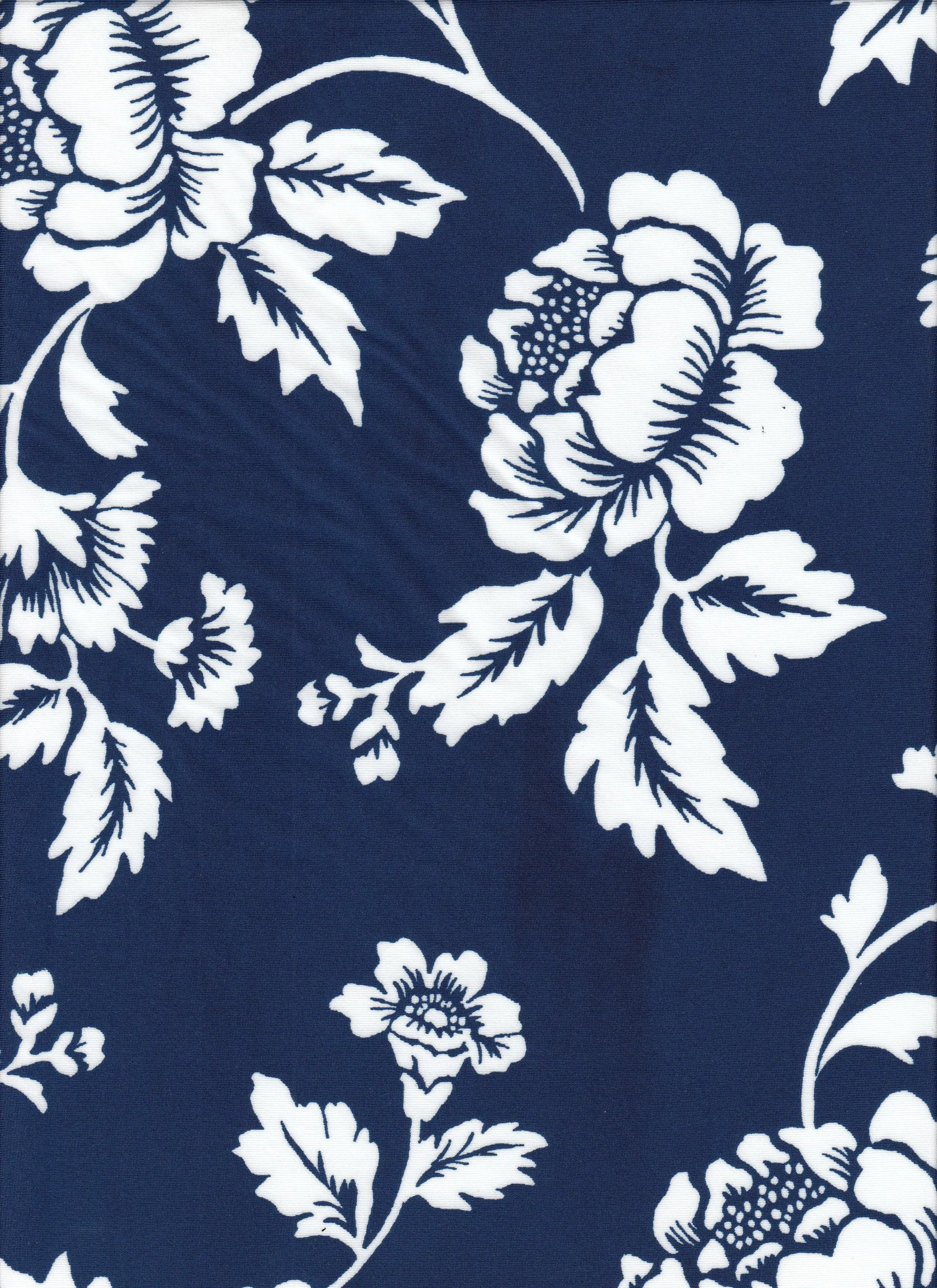 Floral DTY Knit Fabric   KNT4498-MS11573 - Image 12