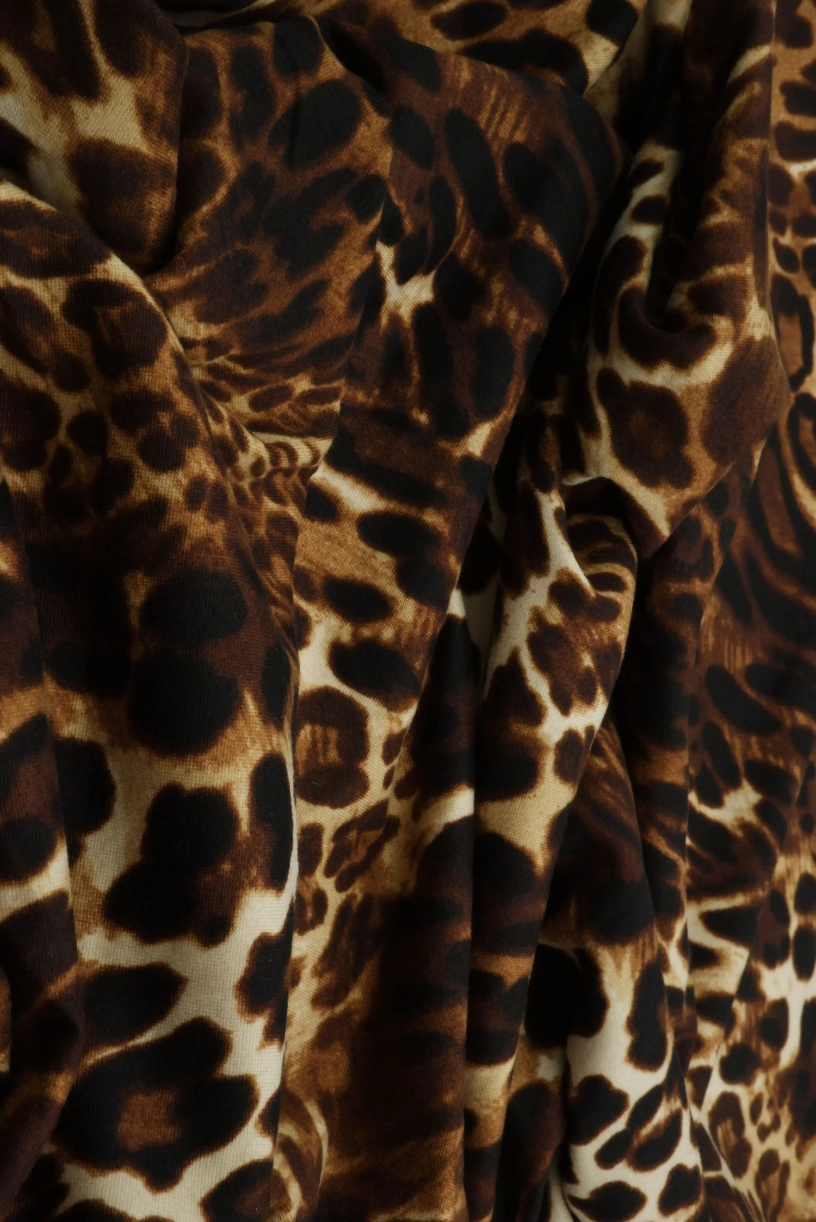 DTY Brushed Animal Print Knit Fabric   KNT4520-SE20135 - Image 2