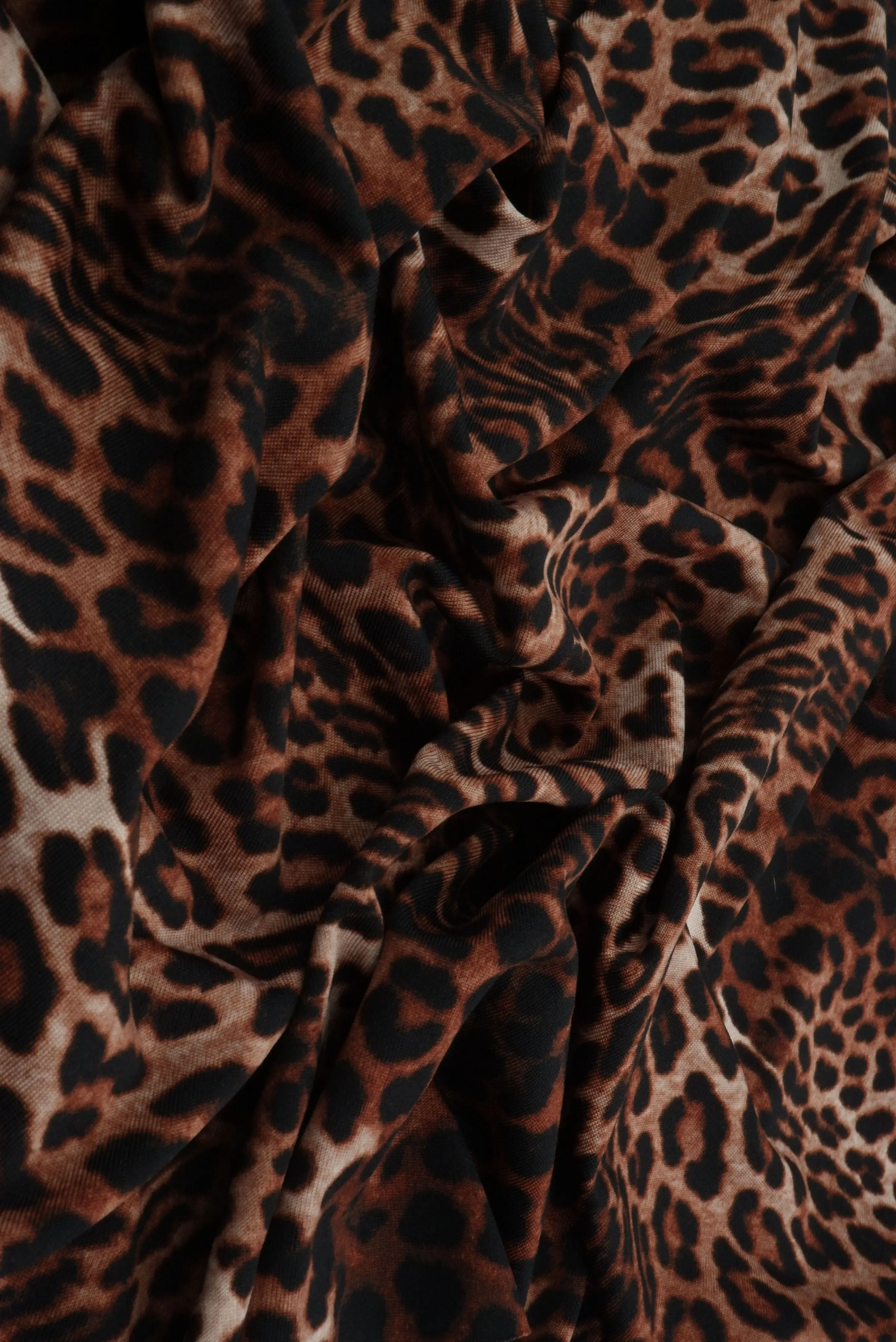 Leopard Animal Print Knit Fabric KNT4498-MS11533 - Image 6